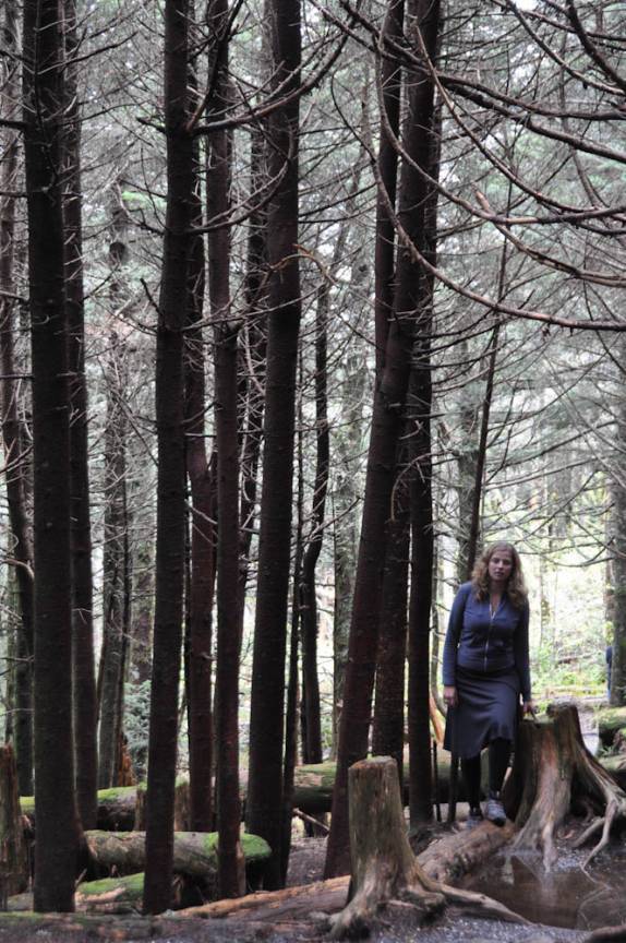 Fazendo uma trilha pela mata na região da Blue Ridge Parkway, na Carolina do Norte - Estados Unidos